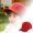 Red, variant on Washed Solid Blank Baseball Cap Curved Brim UV Protection Sun Hat with Adjustable Back Strap Lightweight Unisex Casual Outdoor Sports Hat for Daily Travel Play