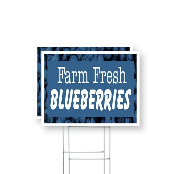 Farm Fresh Blueberries Yard Sign 2 Pack of 12 Inch x 16 Inch Single Sided Weatherproof Heavy-Duty Plastic with Stake | Sweet Berries, Farmer’s Market, Seasonal Offers | Made in USA