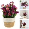 thumbnail image 3 of Aonity Woven Flower Baskets and Artificial Potted Plants, Plastic Household Imitation, Woven Basket Artificial Plants for Home Realistic Style Desktop Room Present Giving Decoration Decor, 3 of 5