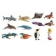 thumbnail image 3 of Figuras de Animales Marinos Zulema Modelo Juguetes de Agua para el Baño, 3 of 8