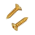 thumbnail image 3 of Set de 50 Piezas Pickguard Tornillos de Montaje para Piezas de Guitarra Eléctrica Bajo de Dorado Sunnimix Tornillos de montaje del golpeador de guitarra, 3 of 4