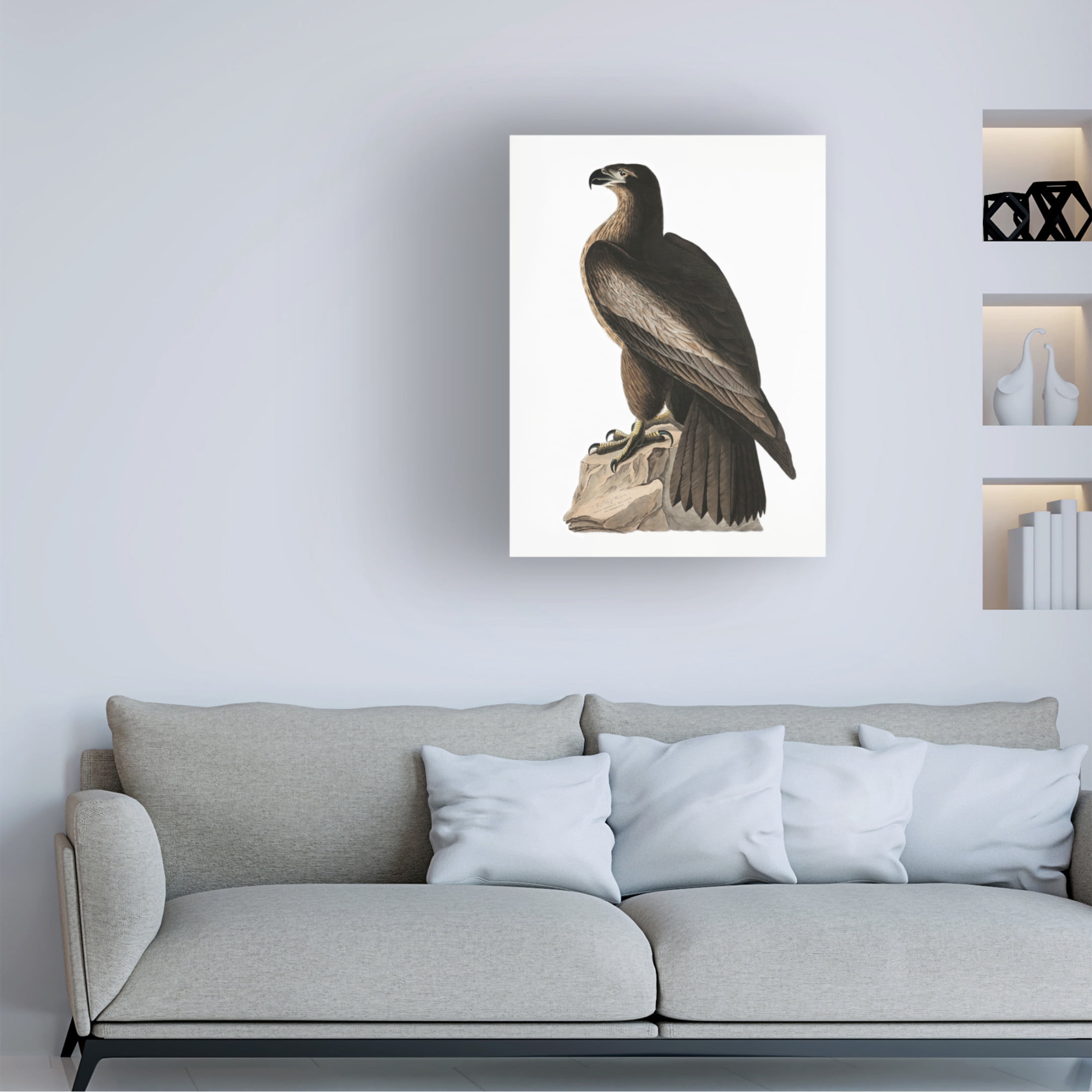 Trademark Fine Art Pictufy   Great American Sea Eagle From Birds of America 1827 Canvas Wall Art