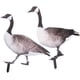 thumbnail image 1 of 2pcs Garden Duck Stakes Garden Decoración de patos Decoración de pato acrílico Decoración de jardín, 1 of 4