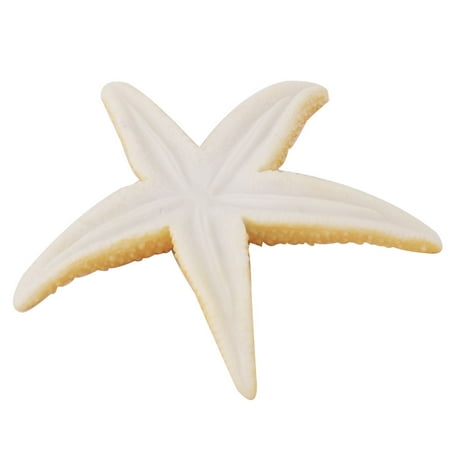 Get Silicone Aquarium Imiter Les Etoiles Creature Eau Mer Etoile Decor Desktop Wallpaper Get Wallpaper Silicone Aquarium Imiter Les Etoiles Creature Eau Mer Etoile Decor Desktop Wallpaper Free