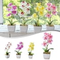 thumbnail image 4 of Fleur Simulée Phalaenopsis à 5 Têtes Plante Artificielle en Pot Simulée, 4 of 6