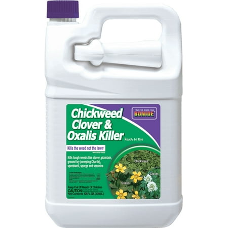 Bonide Products Inc P-Chickweed Clover & Oxalis Killer 1 (Best Weed Killer For Clover)