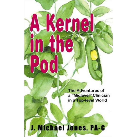 A Kernel in the Pod (Paperback)