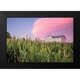 thumbnail image 2 of Quillen, Donnie 24x17 Black Modern Framed Museum Art Print Titled - Corn Crop, 2 of 5
