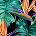 thumbnail image 2 of Watts, Eva 15x15 White Modern Wood Framed Museum Art Print Titled - Ripe Air of Summer III, 2 of 4