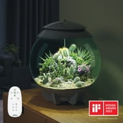 biOrb AIR 30 Terrarium - Grey, Acrylic
