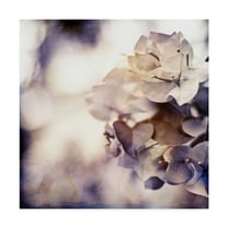 Trademark Fine Art 'Purple Dusk I' Canvas Art by Emily Robinson