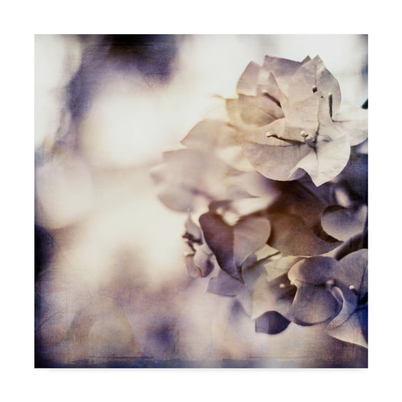 Trademark Fine Art 'Purple Dusk I' Canvas Art by Emily Robinson
