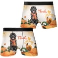 thumbnail image 3 of Happy Thanksgiving Newfoundland with Turkey Pumpkins Autumn Vibes All Over Print Boxer Briefs Underwear for Men Dad Newfie Dog Lover Gifts - 12018, 3 of 6
