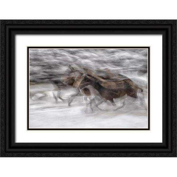 Malovrh, Milan 14x11 Black Ornate Wood Framed with Double Matting Museum Art Print Titled - black dominance