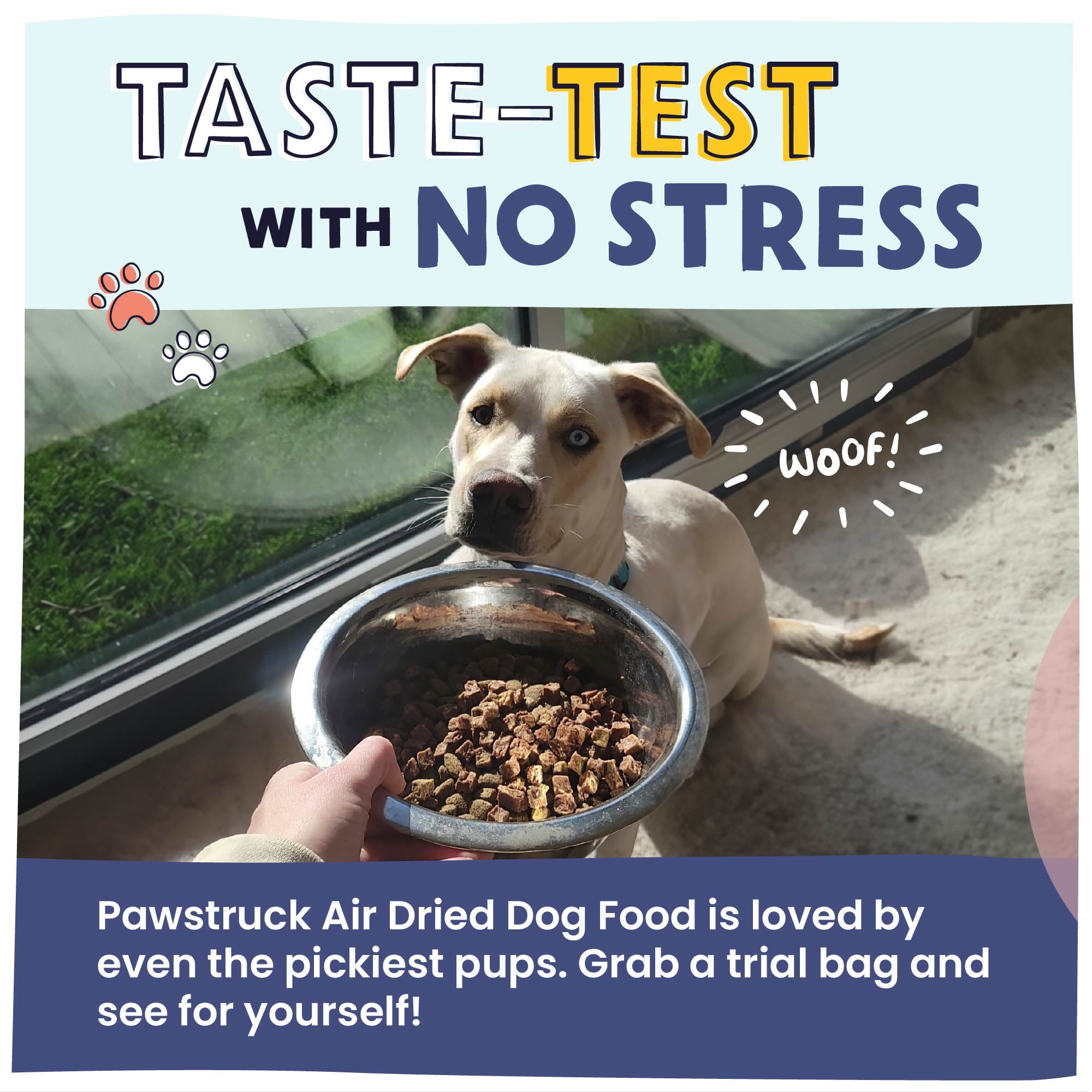 (6 pack) Pawstruck Premium Air Dried Dog Food with 95% Meat, Beef Flavor, 2.5oz Trial Bag