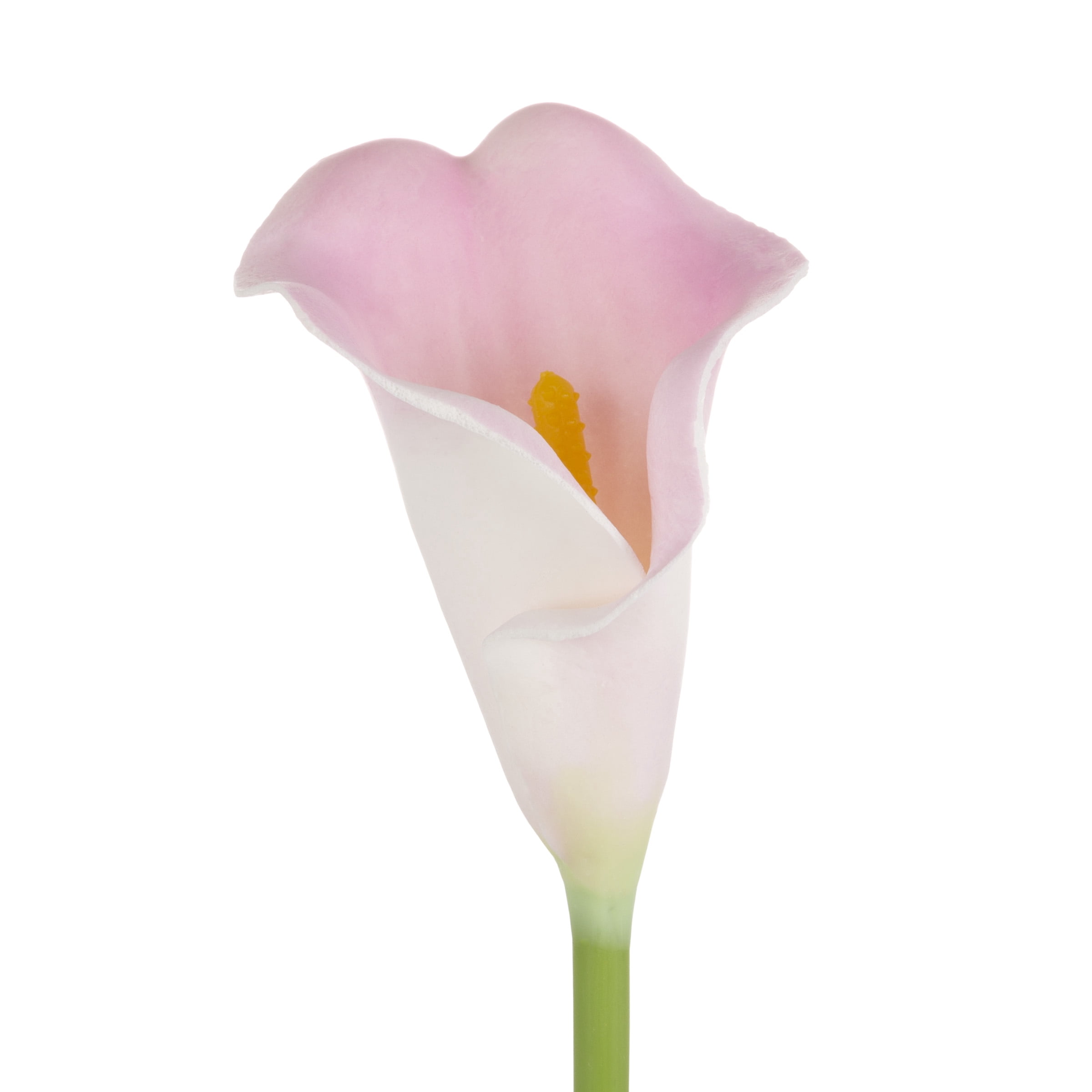 Pure Garden  24 Pc Artificial Calla-Lily with Stems Real Touch Fake Flowers, Coral Pink