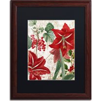 Trademark Fine Art "Amaryllis" Canvas Art by Color Bakery, Black Matte, Wood Frame