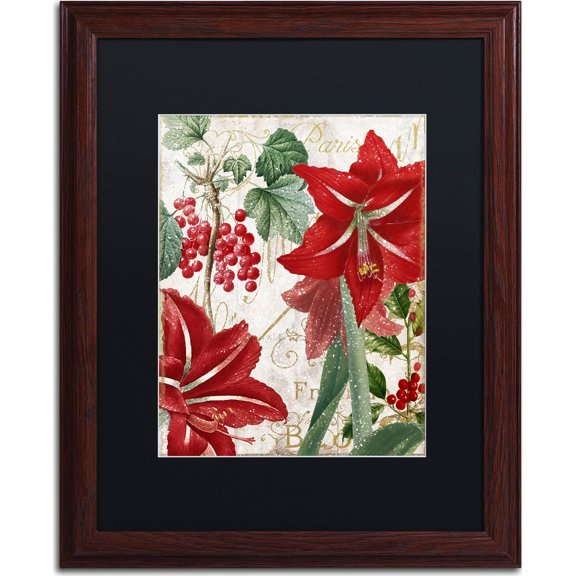 Trademark Fine Art "Amaryllis" Canvas Art by Color Bakery, Black Matte, Wood Frame