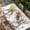 white, variant on Bunny Easter Table Cloths for 3 Foot Rectangle Tables, Pink Spring Floral Eucalyptus Leaves Rabbits Patio Waterproof Elastic Fitted Tablecloths, Washable Rectangular Table Cover for Camping