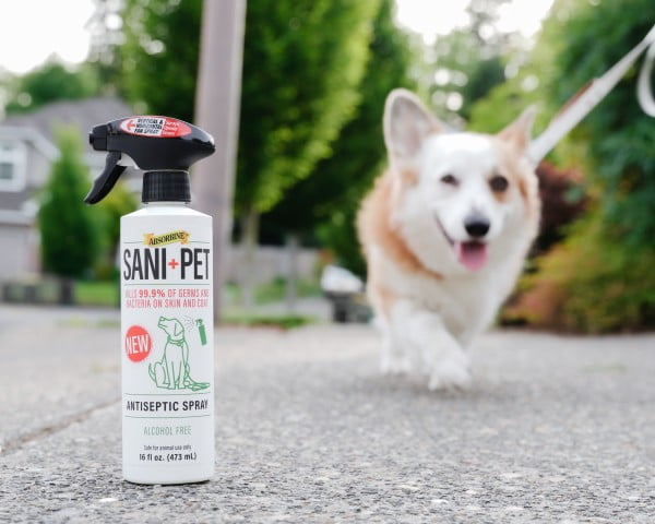 antiseptic spray safe for dogs