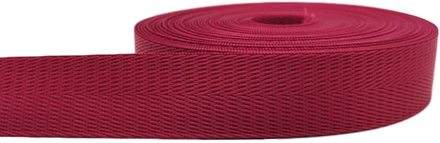 10 Yards 1 Inch Assorted Herringbone Twill Tape Webbing for DIY Backpack Pet Collar Camping Belt Accessories