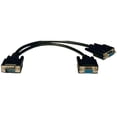 thumbnail image 1 of Tripp Lite Câble Séparateur en Y Haute Résolution pour Moniteur VGA, 1 of 1