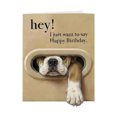 thumbnail image 1 of Interesting Dog Birthday Card: Pet Theme Birthday Greeting Card, 1 of 9
