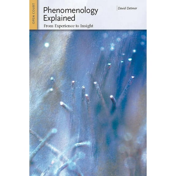 Ideas Explained Phenomenology Explained: From Experience to Insight, Book 9, (Paperback)