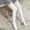 White, variant on Pumxq Women's Over Knee High Socks Warm Thick Tights Socks Thigh Highs Colored Socks Women's Dress Socks Winter Stockings Over the Knee Socks Long Socks High Stockings Women's Black One Size