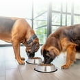 thumbnail image 6 of Iconic Pet Stainless Steel Non-Skid Pet Bowl For Dog or Cat, 96 Oz, 12 Cup, 6 of 8
