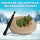 thumbnail image 5 of Calendario de Adviento de NATIONAL GEOGRAPHIC Dinosaur 2024 con 24 actividades, 5 of 7
