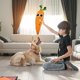 thumbnail image 4 of Juguetes Carrot Toys para perros y gatos Juguetes masticables para perros Carrot Dog Toys 2 en 1 Juguetes y almohadas Juguetes masticables para perros Bonitos juguetes masticables sin relleno Car..., 4 of 8
