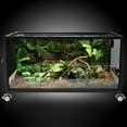 thumbnail image 4 of Aiicioo Reptile LED UVB Light UVB Lamp  4-Level Brightness Adjustable Lighting for Bearded Dragon Turtle Lizard 9 W, 4 of 7