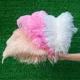 thumbnail image 4 of 10 piezas/lote de plumas de avestruz blancas naturales para manualidades, 15-45 cm, decoración de bodas, fiestas, centros de mesa, carnaval, Plumas Deco, 4 of 5