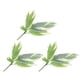 thumbnail image 2 of Paquete de 3 hojas artificiales de plantas tropicales falsas., 2 of 7