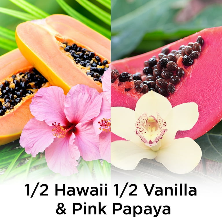All star cheap rosa papaya