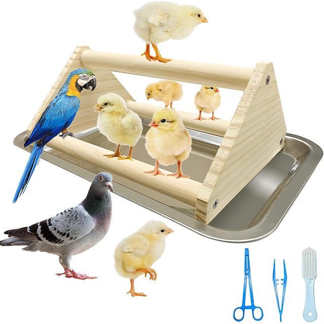 Perca de pollo, gallineros y juguetes de perchas para accesorios de gallinero y criadora