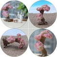thumbnail image 3 of Milisten Cherry Blossom Tree Micro Landscape 4 Pack Resin Craft Tiny Desk Plant For Fairy Garden Home Office Decor, 3 of 8