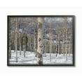 thumbnail image 2 of Stupell Winter Birches Photography Framed Giclee Texture Art 11 x 14, 2 of 4
