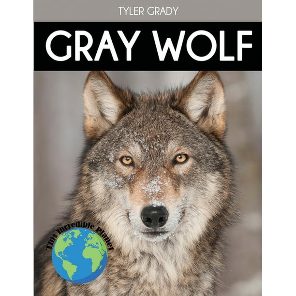 This Incredible Planet: Gray Wolf : Fascinating Animal Facts for Kids (Paperback) This Incredible Planet: Gray Wolf : Fascinating Animal Facts for Kids (Paperback)