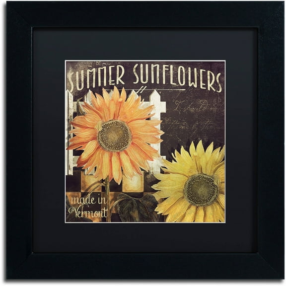 Trademark Fine Art "Vermont Farms XI" Canvas Art by Color Bakery Black Matte, Black Frame