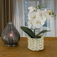 thumbnail image 2 of 21 in. White Orchid Flower in White Basket, 2 of 3