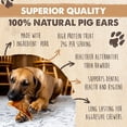 thumbnail image 3 of Mighty Paw Full Pig Ears for Dogs, All Natural Dried Single Ingredient Dog Treats (12 Pack), 3 of 9