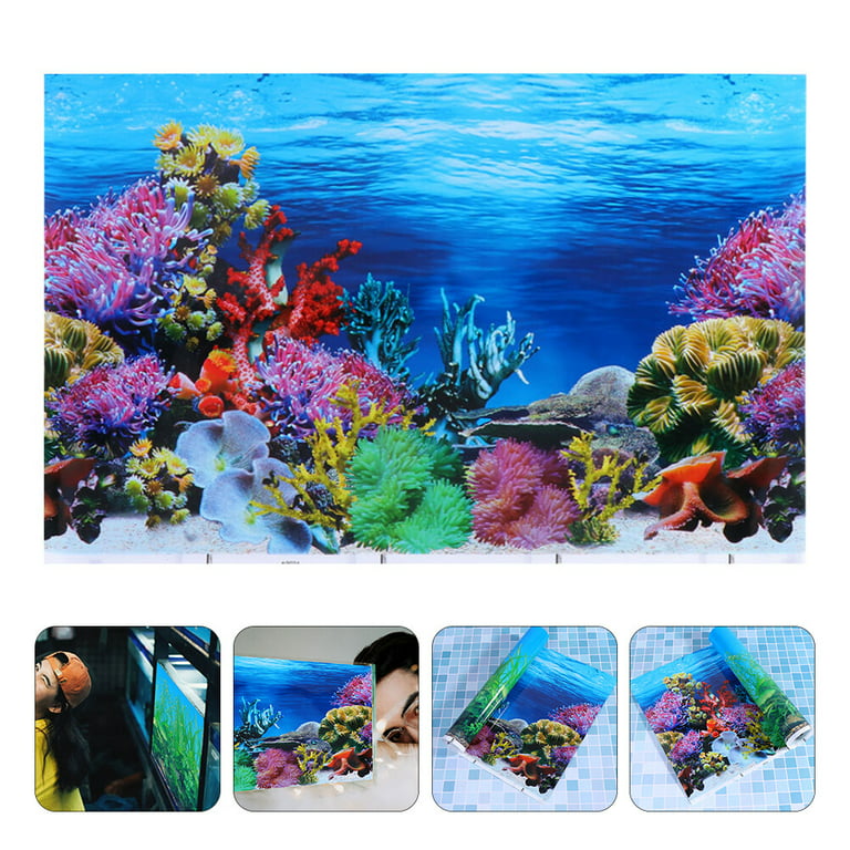 JUBMACH Premium Aquarium Background Poster | Underwater World Fish Tank  Background Aquarium Background Decoration Terrarium Background Durable PVC