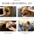 thumbnail image 3 of Pet Grooming Scissors, Stainless Steel Rounded Tip Trimming Shears for Dogs and Cats, 3 of 10