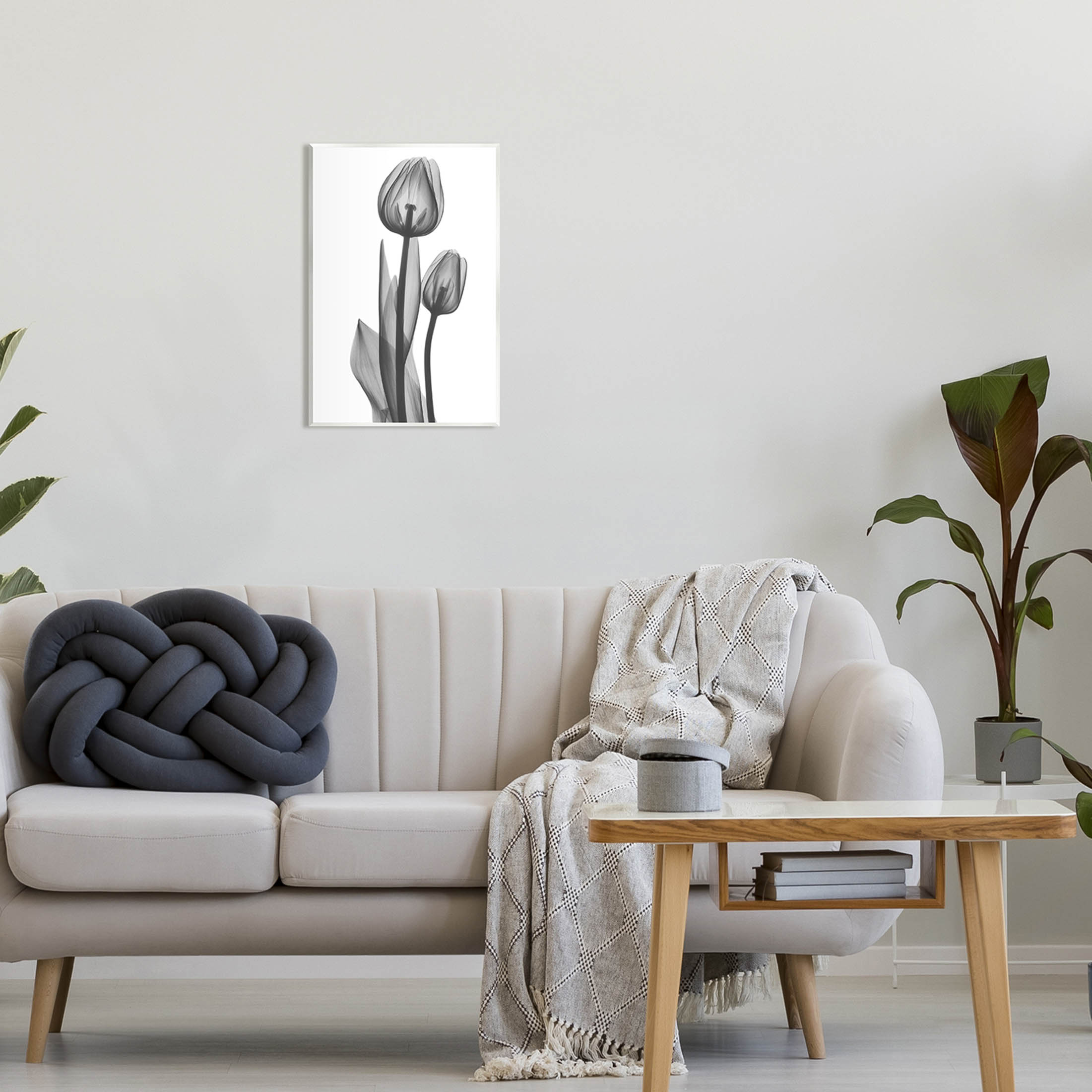 Stupell Industries Contemporary Transparent Tulip Graphic Art Unframed Art Print Wall Art, Design by Albert Koetsier