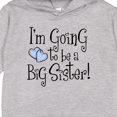 thumbnail image 3 of Inktastic Heart New Big Sister Toddler Hoodie, 3 of 4
