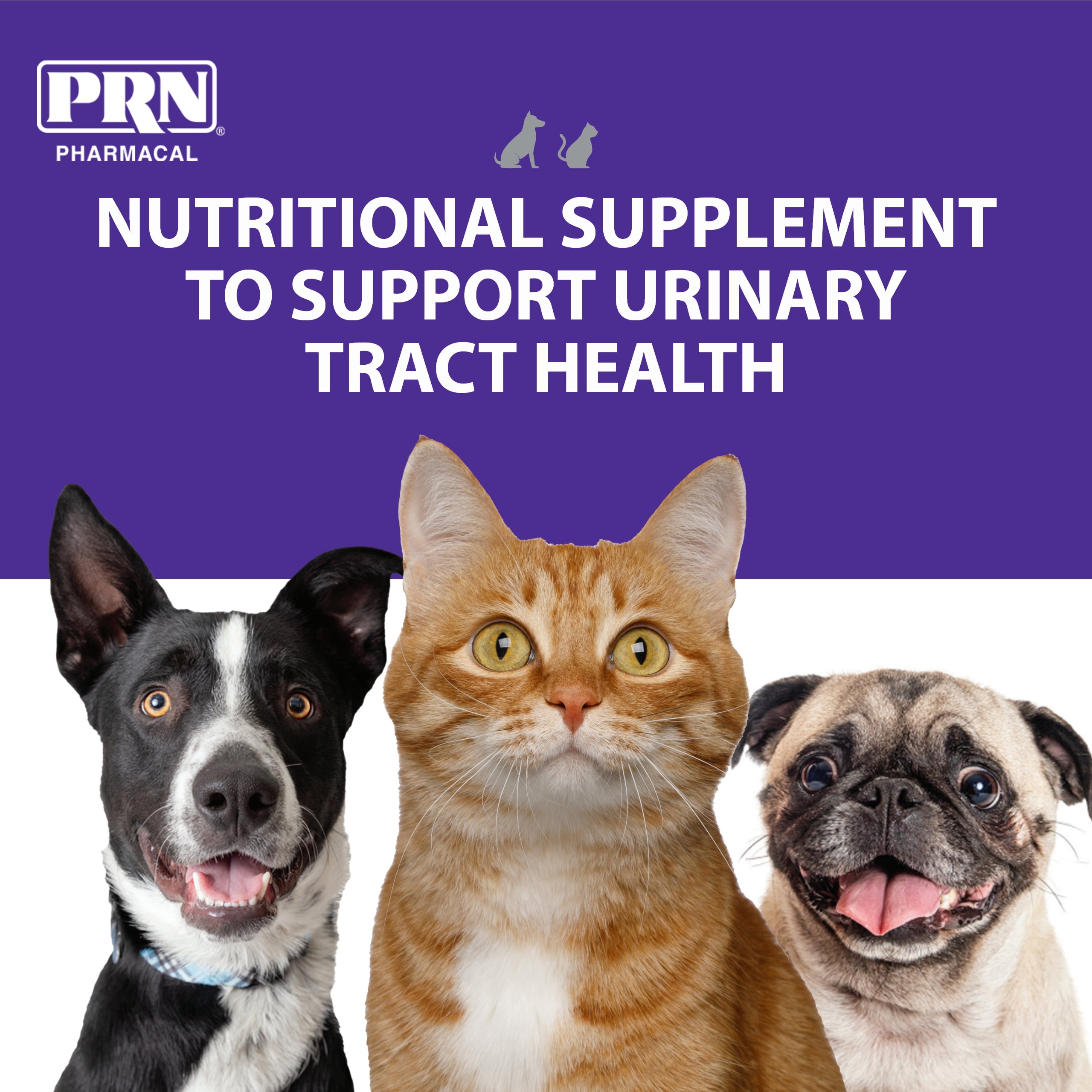 Buy PRN Pharmacal CranMate Cranberry Supplement Chewable Cranberry