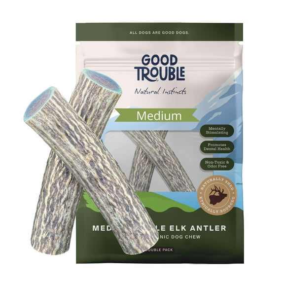 Medium Whole Premium Wild Elk Antlers (2-Pack) for Dogs by Good Trouble Pets