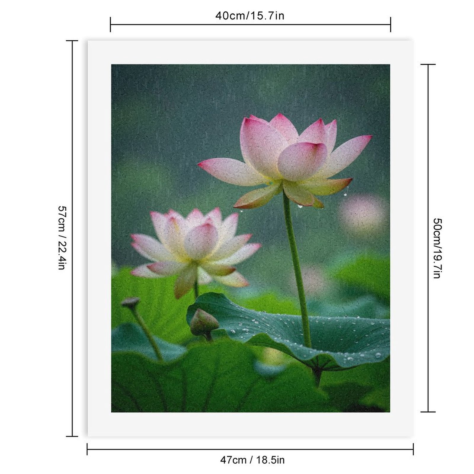 Paint By Numbers Kit for Adults Beginner - DIY Lotus Flowers In Rain Scene Canvas Painting Kits for Adults, Frameless Paint By Number for Adults for Home Wall Decor 16x20 Inch
